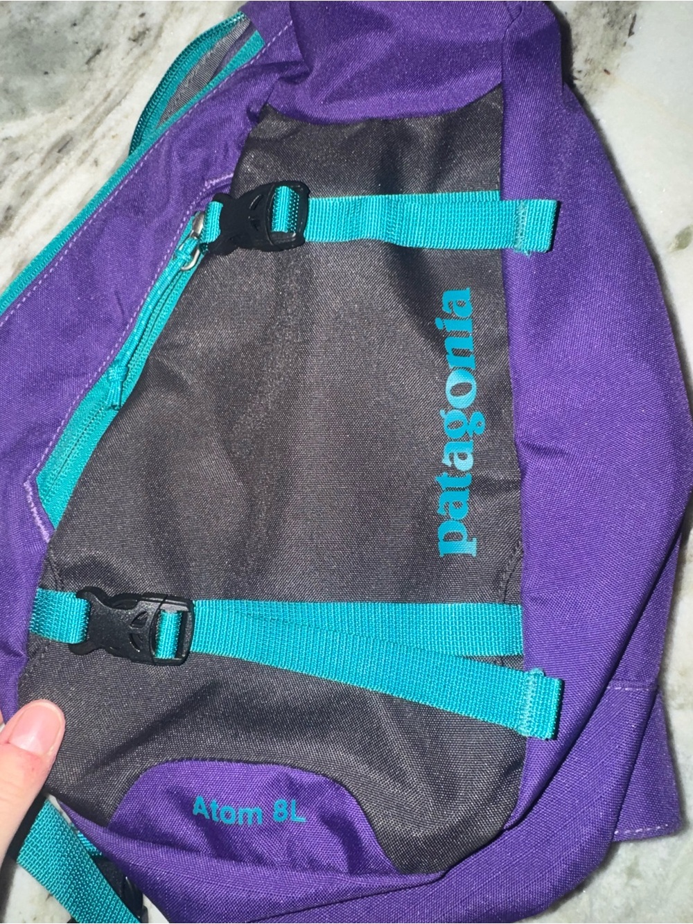 Patagonia Purple Sling Pack with Teal Accents